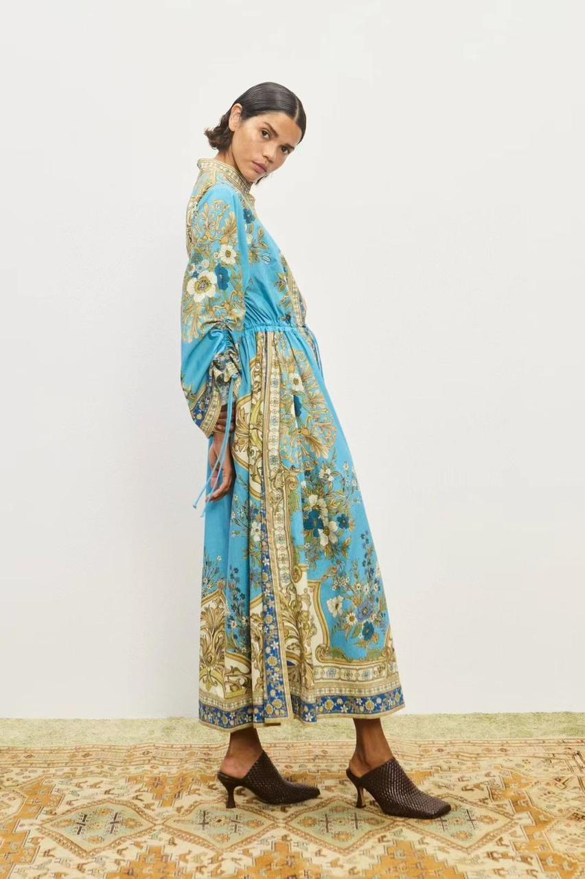 Alemais printed long Long Dress