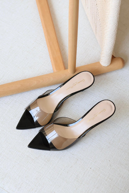 Gianvito Rossi Clear Pointed-Toe Mule Heels
