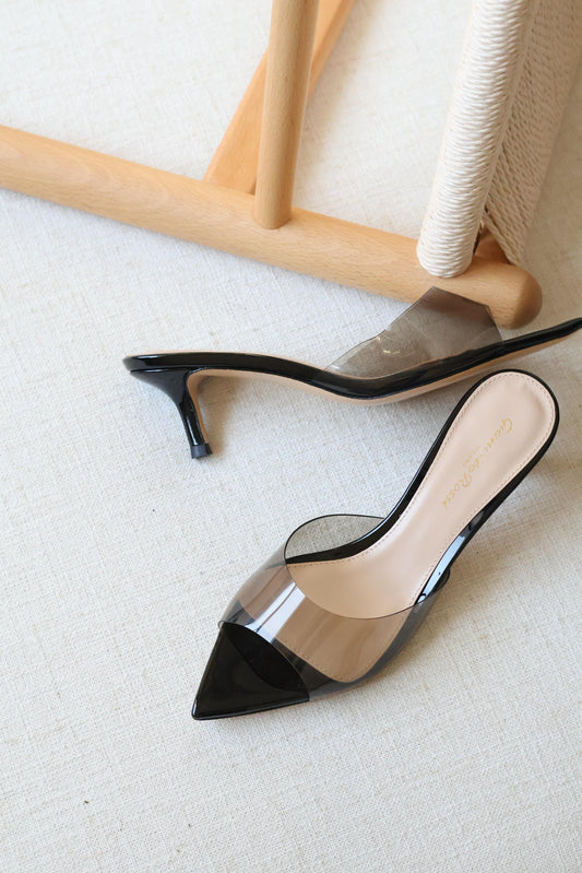 Gianvito Rossi Clear Pointed-Toe Mule Heels