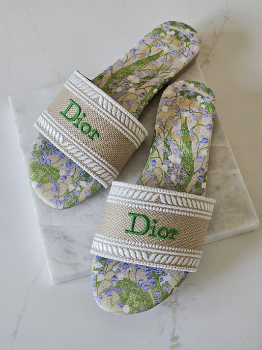 Dior Dway Slide