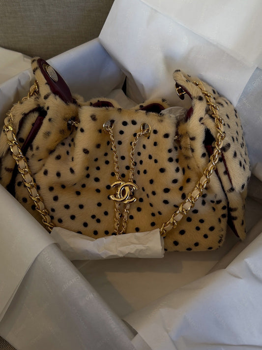 Chanel Mini 25 Hobo Bag in Leopard Print